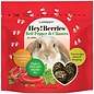 LAFEBER COMPANY Lafeber Company Hey! Berries Rabbit Treats Bell Pepper & Cilantro 5 oz