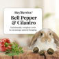 LAFEBER COMPANY Lafeber Company Hey! Berries Rabbit Treats Bell Pepper & Cilantro 5 oz