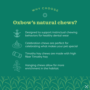 OXBOW OXBOW SMALL ANIMAL HIDE & SEEK MAT SMALL