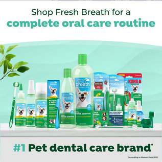 TROPICLEAN Tropiclean Fresh Breath Water Additive For Cats 16 oz.