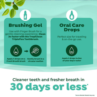TROPICLEAN TropiClean Fresh Breath Total Care Kit for Dogs Large