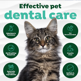 TROPICLEAN TropiClean Fresh Breath Oral Care Water Additive Drops  for Cats 2.2 oz.