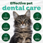 TROPICLEAN TropiClean Fresh Breath Oral Care Water Additive Drops  for Cats 2.2 oz.