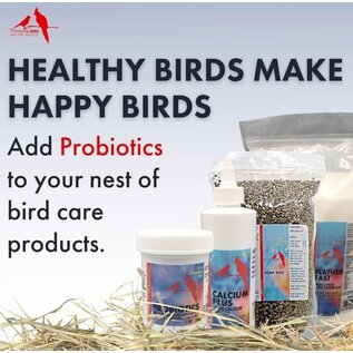 MORNING BIRD PROBIOTICS 3 oz.