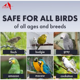 MORNING BIRD PROBIOTICS 3 oz.