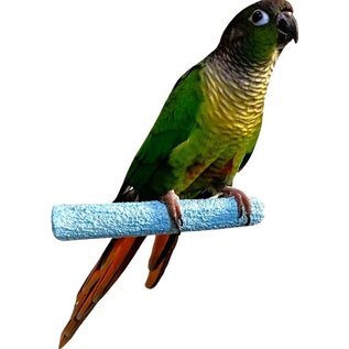 POLLY'S PASTEL CEMENT PERCH BABY MED-4" (assorted colors)