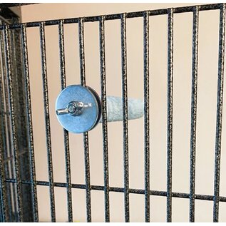 POLLY'S PASTEL CEMENT PERCH BABY MED-4" (assorted colors)
