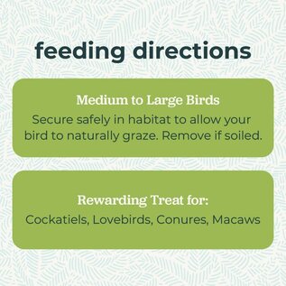ZUPREEM ZuPreem Grazing Snack Bird Treat 1.41 oz