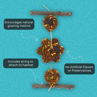 ZUPREEM ZuPreem Grazing Snack Bird Treat 1.41 oz