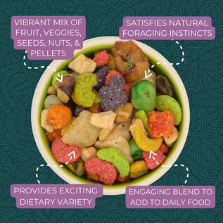 ZUPREEM Zupreem Pure Fun Bird Food for Large Birds 2#