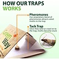 JUNGLE JUNCTION GREENWAY 00402 Pantry Food Moth Traps Non-Toxic, Child & Pet Safe, 1 Pack (Includes 2 Traps and 2 Lures)