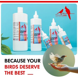 Morning Bird MOR 00047 Calcium Plus Liquid 16 Oz.