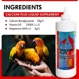 Morning Bird MOR 00047 Calcium Plus Liquid 16 Oz.