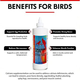 Morning Bird MOR 00047 Calcium Plus Liquid 16 Oz.