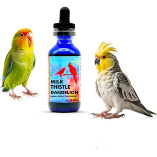 Morning Bird MOR 00106 Milk Thistle & Dandelion Root Herbal Supplement 1 oz