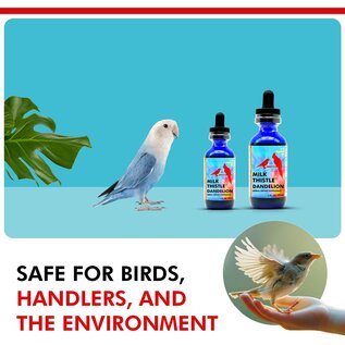 Morning Bird MOR 00106 Milk Thistle & Dandelion Root Herbal Supplement 1 oz