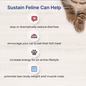 LAFEBER COMPANY Lafeber EmerAid Sustain Feline Recovery Food, 100g/3.5-oz bag