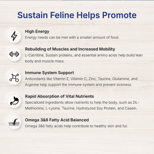LAFEBER COMPANY Lafeber EmerAid Sustain Feline Recovery Food, 400g/14.11-oz bag