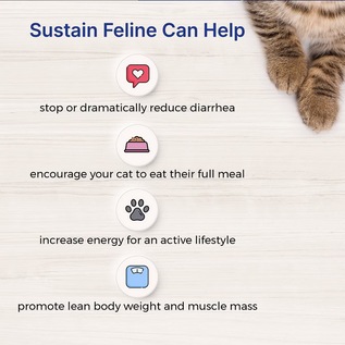 LAFEBER COMPANY Lafeber EmerAid Sustain Feline Recovery Food, 400g/14.11-oz bag