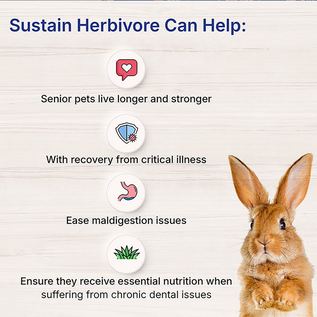 LAFEBER COMPANY Lafeber EmerAid Sustain Recovery Food for Herbivores Mint, 100g/3.5oz bag