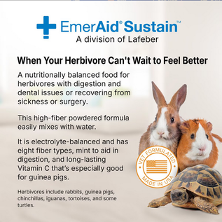 LAFEBER COMPANY Lafeber EmerAid Sustain Recovery Food for Herbivores Mint, 100g/3.5oz bag