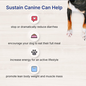 LAFEBER COMPANY Lafeber EmerAid Sustain Canine Recovery Food for Dogs100 g/3.5oz. bag