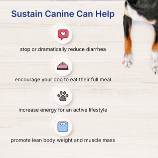 LAFEBER COMPANY Lafeber EmerAid Sustain Canine Recovery Food for Dogs 400 g/14.11oz bag