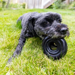 KONG KONG Extreme Donut Durable Heavy Power Chewer Fetch Dog Toy 3.5"  Small/Medium