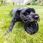 KONG KONG Extreme Donut Durable Heavy Power Chewer Fetch Dog Toy 3.5"  Small/Medium