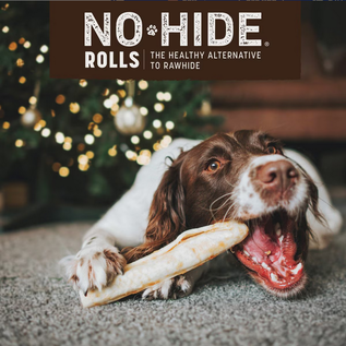 EARTH ANIMAL Earth Animal No-Hide Seasonal Holiday Feast Turkey Recipe Rolls 7" Medium