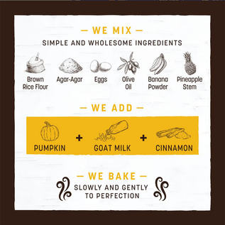 EARTH ANIMAL Earth Animal No-Hide® Seasonal Collection Pumpkin Spice Rolls Small 4"