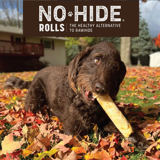 EARTH ANIMAL Earth Animal No-Hide® Seasonal Collection Pumpkin Spice Rolls Medium 7"