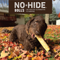 EARTH ANIMAL Earth Animal No-Hide® Seasonal Collection Pumpkin Spice Rolls Medium 7"