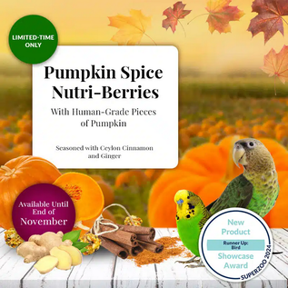 LAFEBER COMPANY LAFEBER  SMALL BIRD NUTRI-BERRIES PUMPKIN SPICE LIMITED EDITION 10OZ BAG