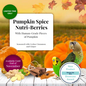 LAFEBER COMPANY LAFEBER  SMALL BIRD NUTRI-BERRIES PUMPKIN SPICE LIMITED EDITION 10OZ BAG
