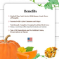 LAFEBER COMPANY LAFEBER  SMALL BIRD NUTRI-BERRIES PUMPKIN SPICE LIMITED EDITION 10OZ BAG