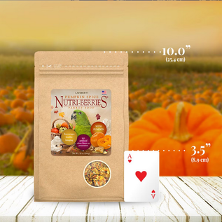 LAFEBER COMPANY LAFEBER  PARROT NUTRI-BERRIES PUMPKIN SPICE LIMITED EDITION 10OZ BAG
