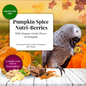 LAFEBER COMPANY LAFEBER  PARROT NUTRI-BERRIES PUMPKIN SPICE LIMITED EDITION 10OZ BAG