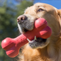 KONG KONG Holiday Goodie Bone Dog Toy Medium In Holiday Packaging