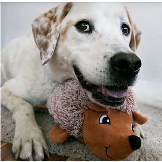 KONG KONG Holiday Comfort Hedgehog (Assorted Colors)