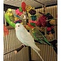 SUPER BIRD CREATIONS Super Bird SB-759 Daisy Ring 6" x 4"