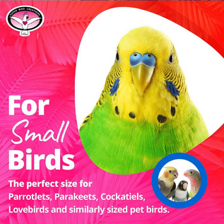 SUPER BIRD CREATIONS Super Bird SB-505 Mini Starburst