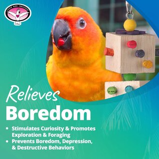 SUPER BIRD CREATIONS Super Bird SB-1103 Parrot-Dice - 9.5" x 2.5"