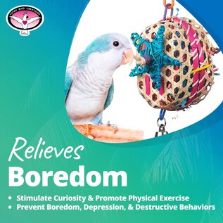 SUPER BIRD CREATIONS Super Bird SB-573 Basket Case 10.5" x 6"