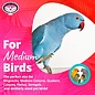 SUPER BIRD CREATIONS Super Bird SB-1204 Crunch Time 10 x 5 x 4"