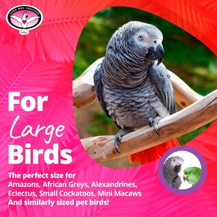 SUPER BIRD CREATIONS Super Bird SB-399  11" x  7"  Woodpile Bird Toy, Large