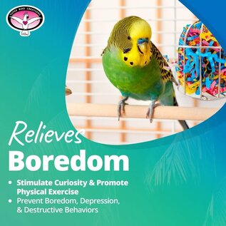 SUPER BIRD CREATIONS Super Bird SB-476 Mini Stainless Steel Treat Cage Filled With Paper, Small 6-1/2" x  3"
