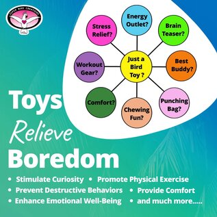 SUPER BIRD CREATIONS Super Bird SB-1205 Squiggy 15 x 4 x 4"