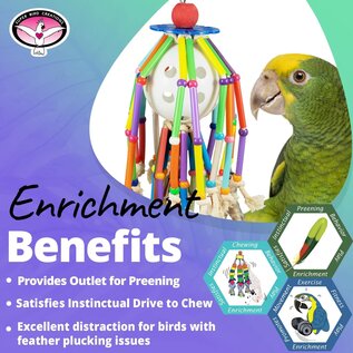 SUPER BIRD CREATIONS Super Bird SB-1205 Squiggy 15 x 4 x 4"