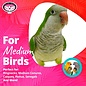 SUPER BIRD CREATIONS Super Bird SB-1183 Balsa Bot